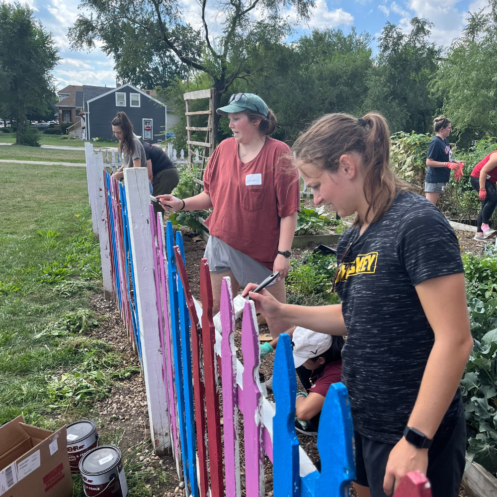 Students painting a fence at ENRICH Garden