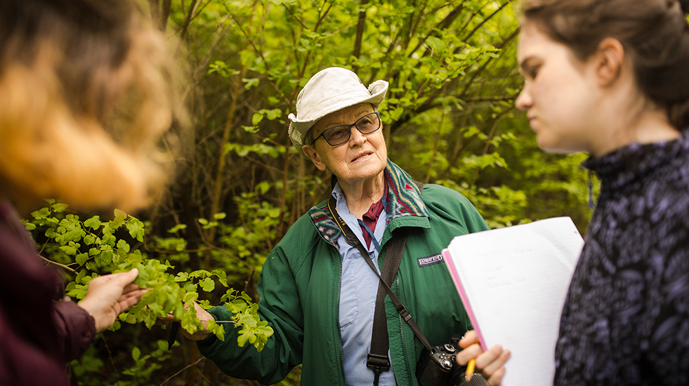 Roberta Lammers-Campbell, PhD  